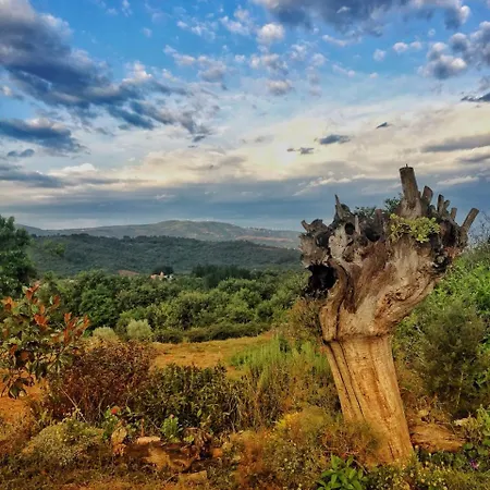 Casa Do Estevo Venkovský dům