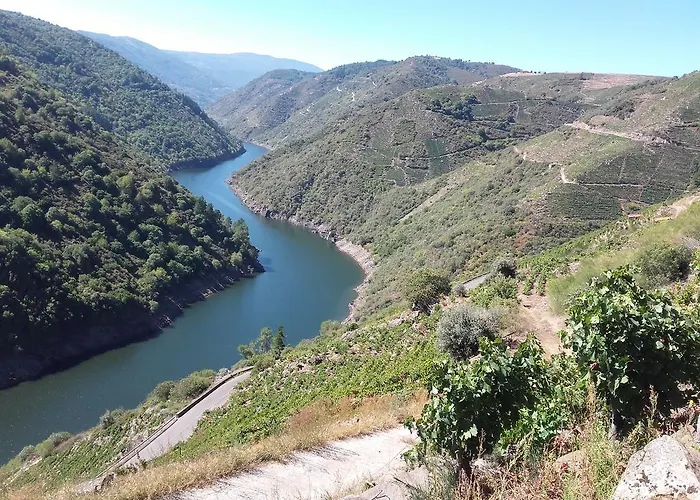 Casa de Campo Casa Do Estevo *