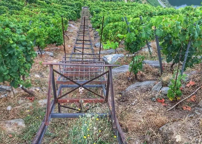 Casa de Campo Casa Do Estevo *