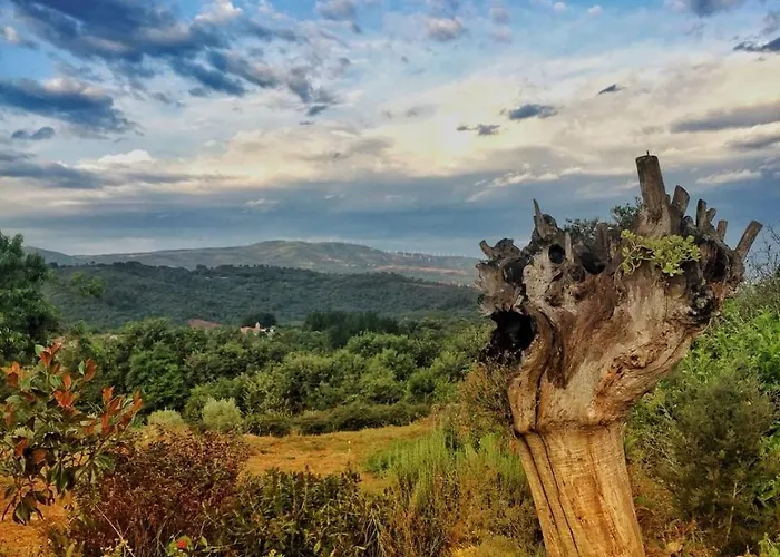 Casa Do Estevo Casa de Campo