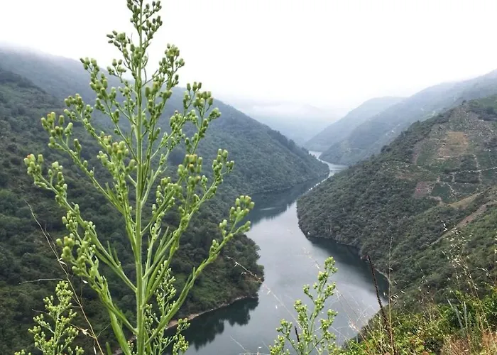 Casa Do Estevo Casa de Campo Francos (Lugo)